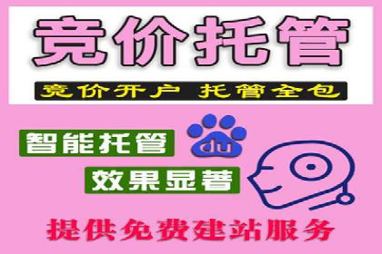 成功案例集锦：信息流广告代运营公司的卓越表现